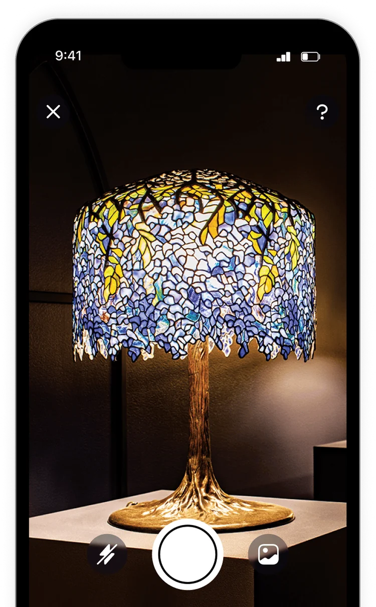 Zophi scanning interface on a phone